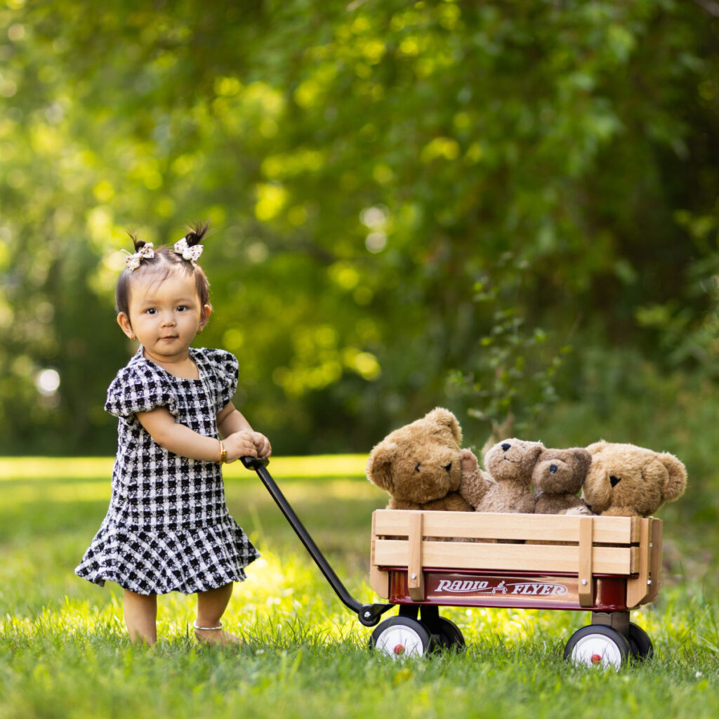 Toddler girl pulling a wagon filled with teddy bears during an outdoor portrait session at the park beside Alternate Angles Photography in Norwood MA
