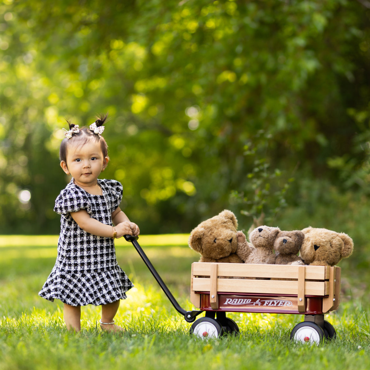 Toddler girl pulling a wagon filled with teddy bears during an outdoor portrait session at the park beside Alternate Angles Photography in Norwood MA
