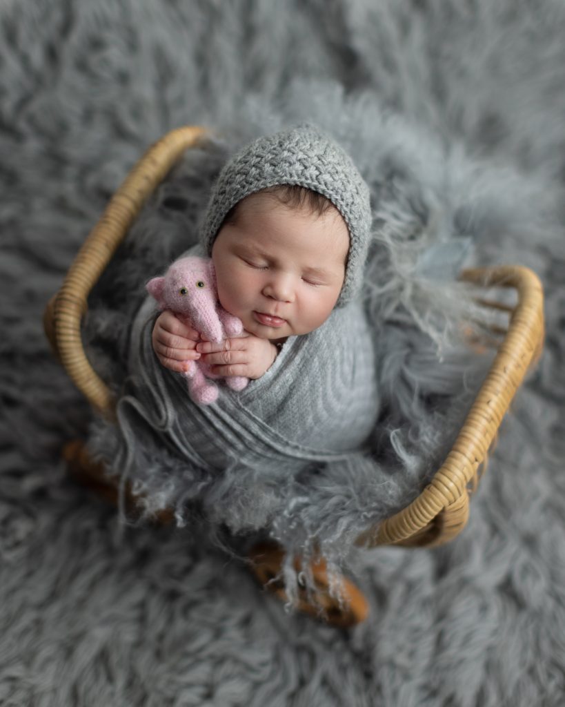 Boston newborn photographer portrait of a sleeping baby girl wrapped in gray with a tiny stuffed elephant in a wicker carriage.