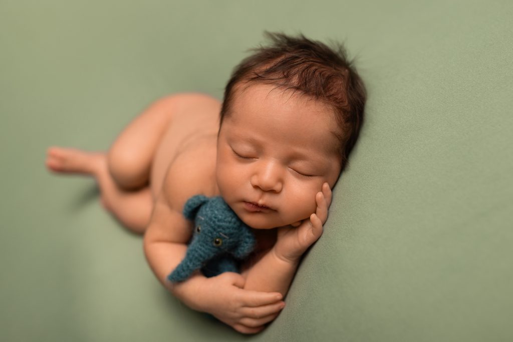 Sleeping newborn cuddled beside a small teal elephant during a studio newborn photography session.